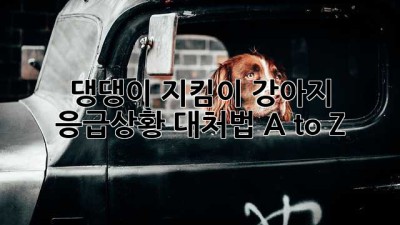 🐶 댕댕이 지킴이! 강아지 응급상황 대처법 A to Z 🚨