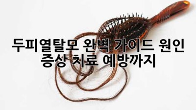 두피열탈모 완벽 가이드: 원인, 증상, 치료, 예방까지!