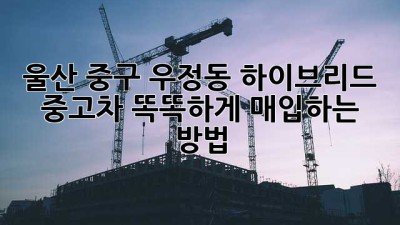 울산 중구 우정동 하이브리드 중고차, 똑똑하게 매입하는 방법 🚗✨